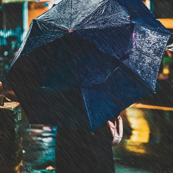 pexels-photo-2816625